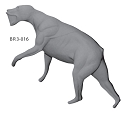 BR3-016